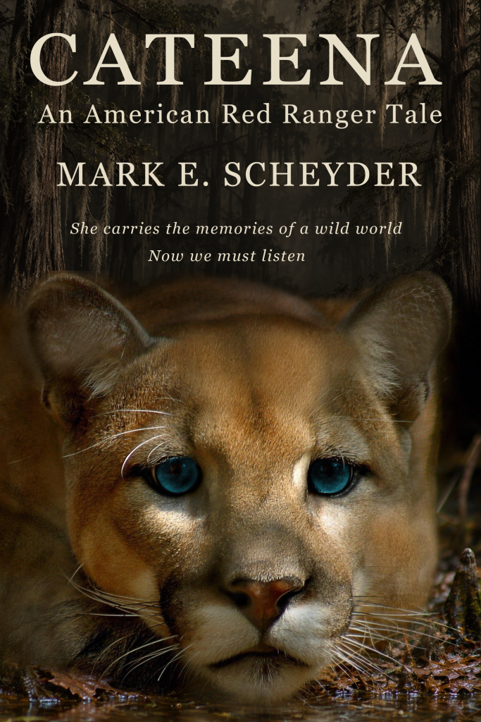 Working cover of Cateena: An American Red Ranger Tale by Mark E. Scheyder, for young adult and adult readers, featuring a blue-eyed Florida panther in a cypress wetland.